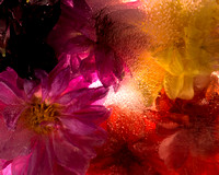 Petal Portal 8x10